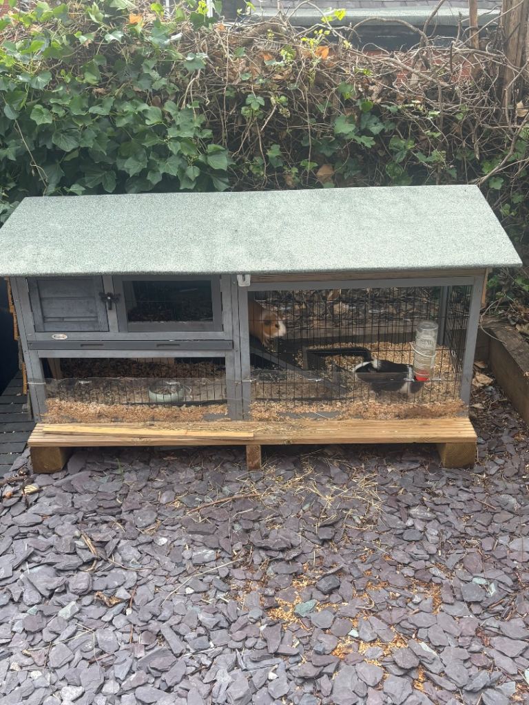 Outdoor Guinea Pig or Rabbit Hutch - Good Condition