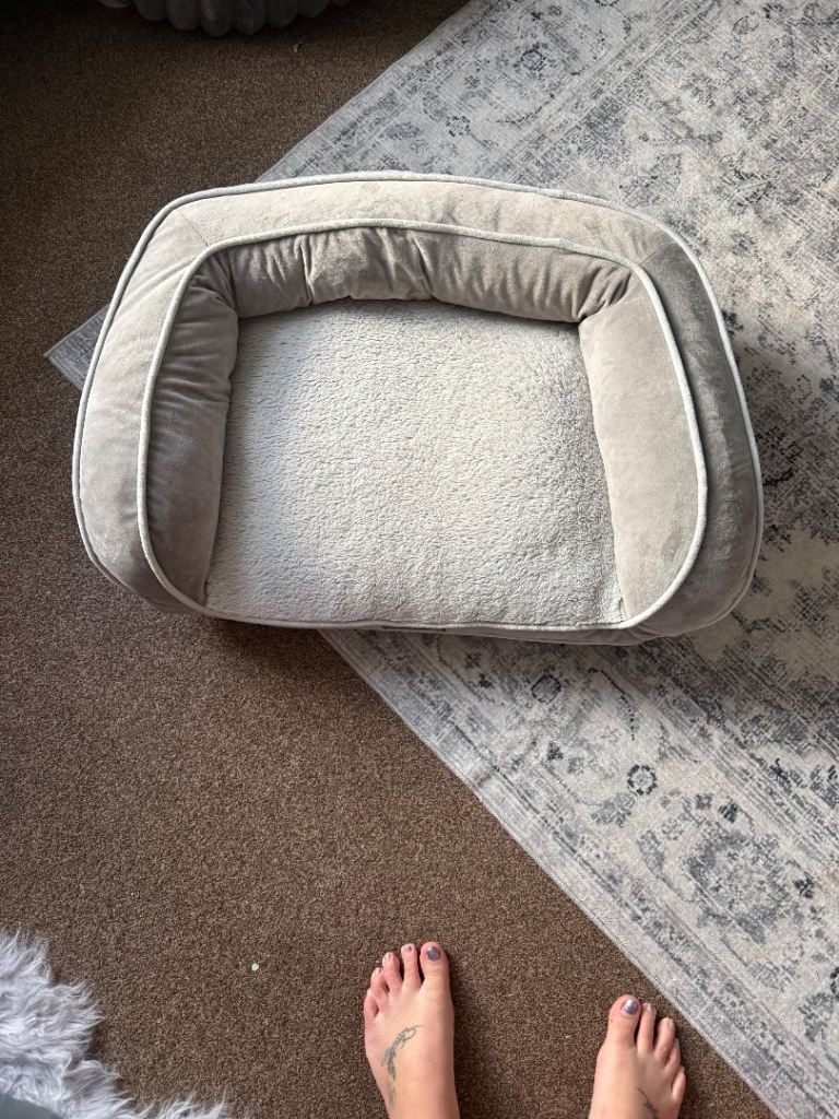 Pet bed 