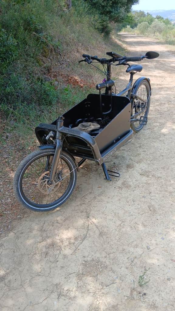 E Cargo Bike