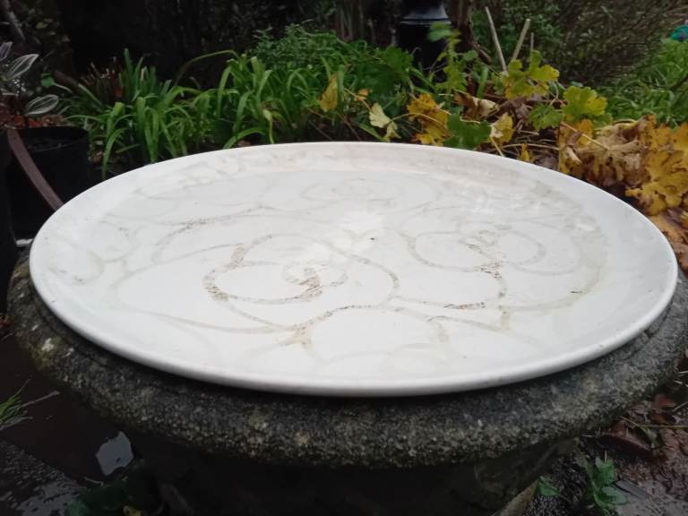 Bird bath large white dish