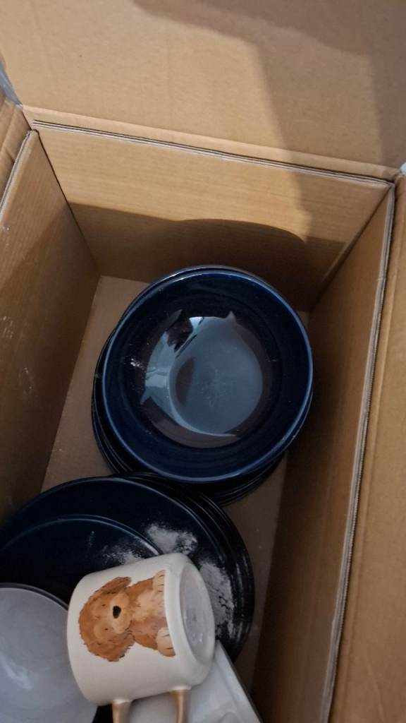 Free navy dinner set
