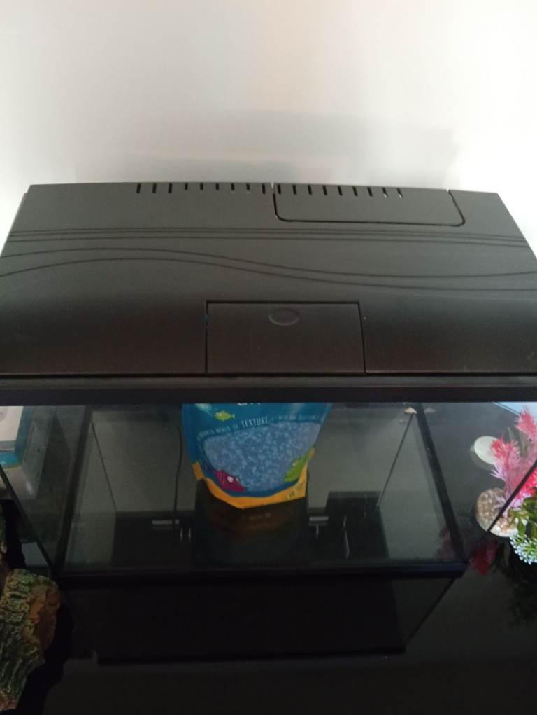 Fish tank 