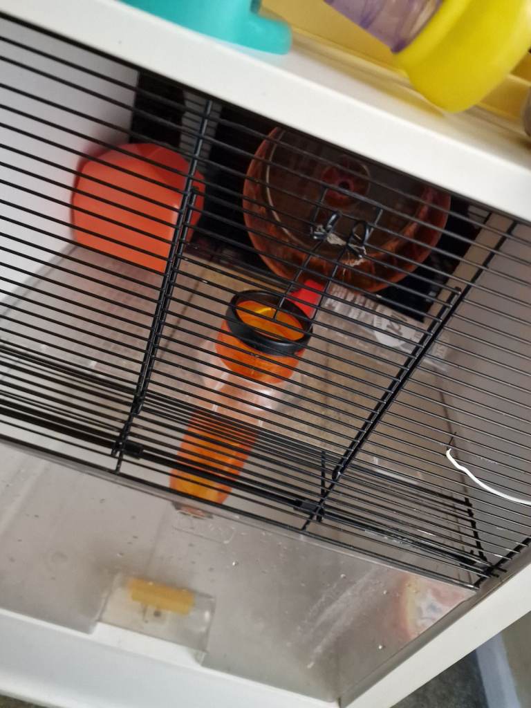 Omlet Hamster cage