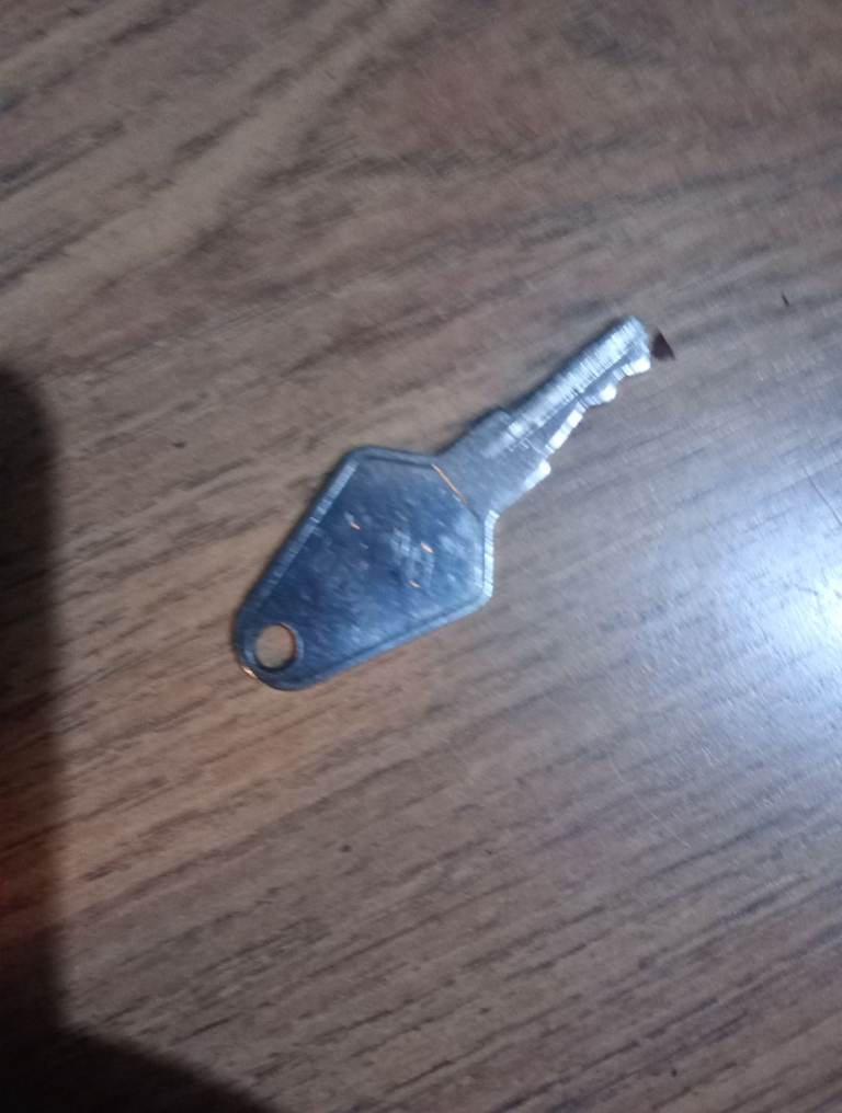 Roof bars for raised rails