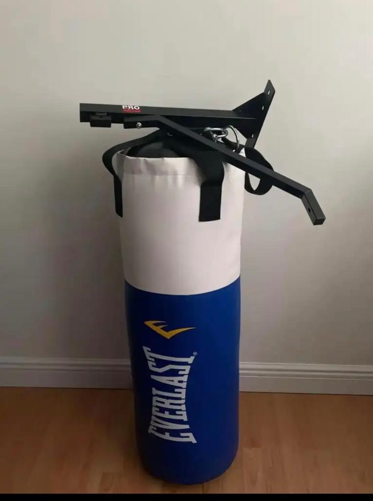 Everlast Punching Bag with Mount