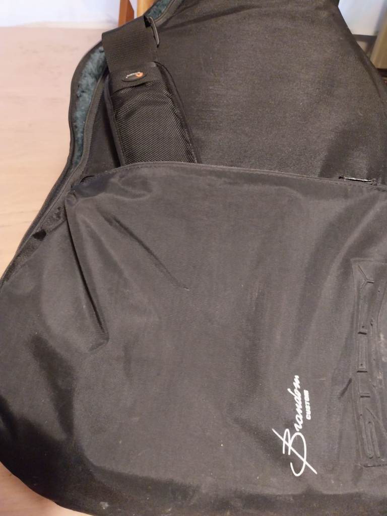 12-string guitar with padded case