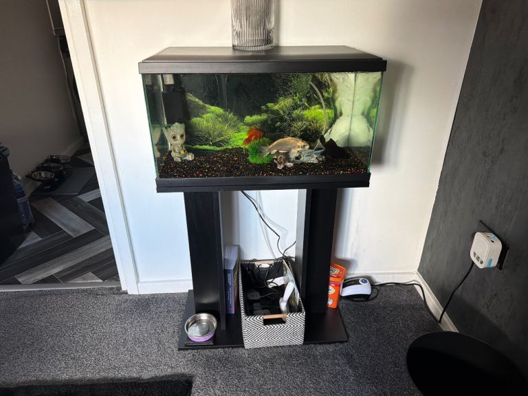Fish tank with fish 