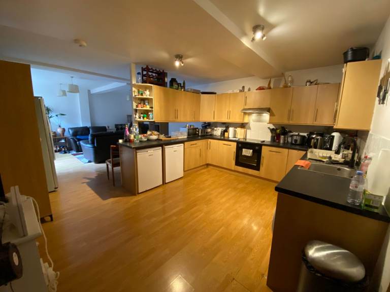 Lovely large unfurnished double room in Southville / BS3 - £600 pm + Bills