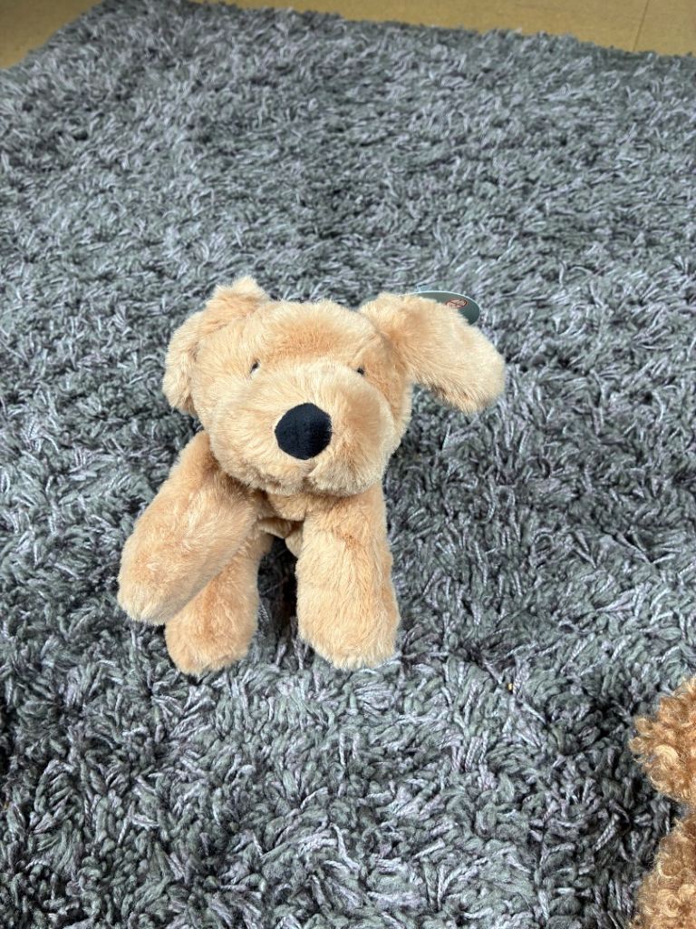 Fluffy dog pencil case 
