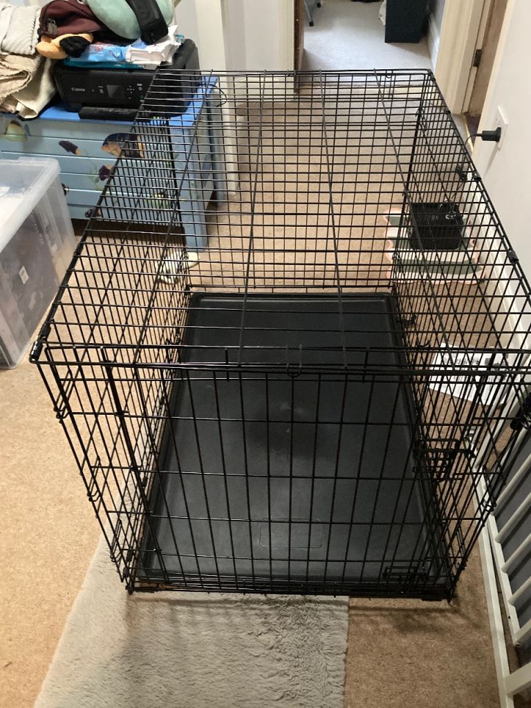 Large dog crate
