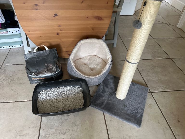 Cat bed, scratch post litter tray 