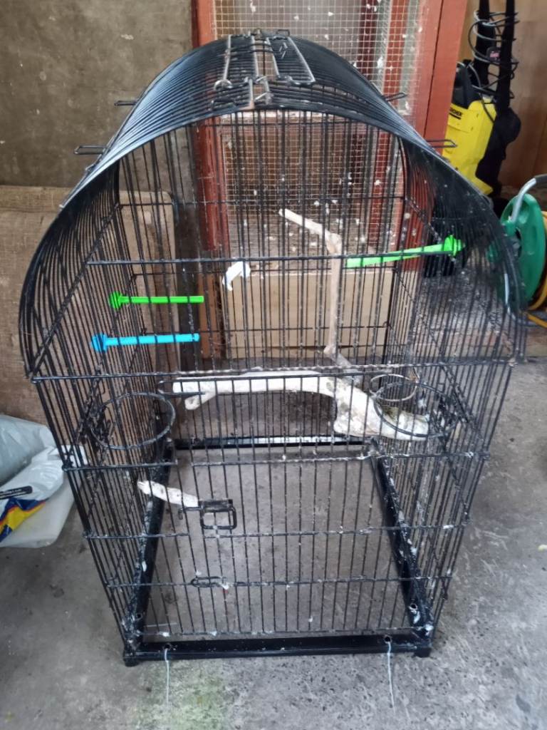 Large bird cage