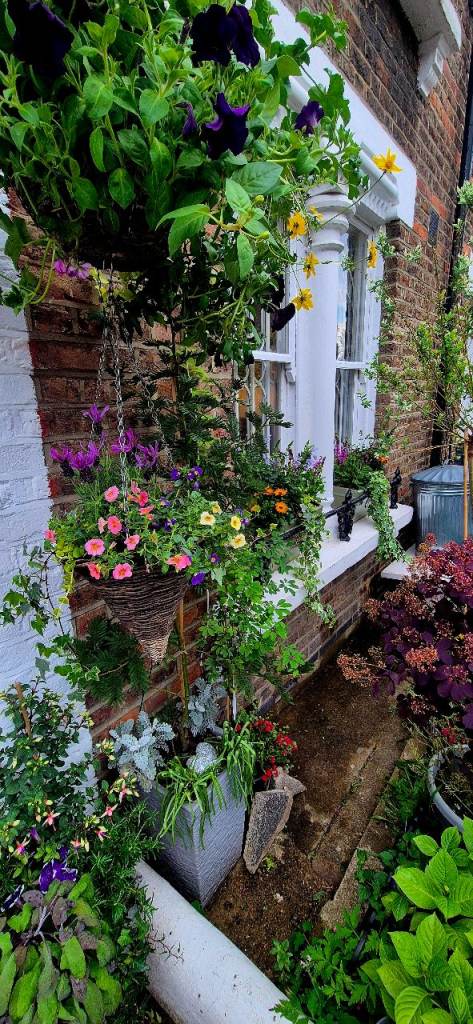 My 2bed house with garden in W10 for 3 or 4bed with garden