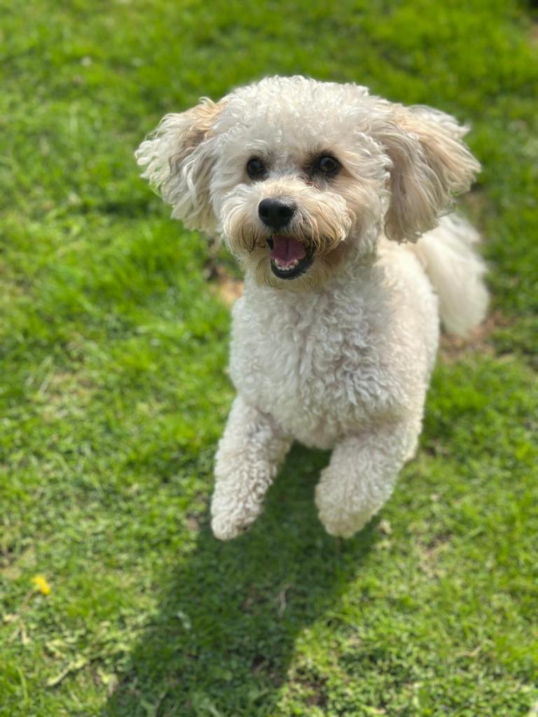 Double room to rent in family home 