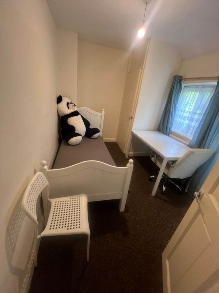 Single room to rent immediately,  Swansea/ SA5 5DN 