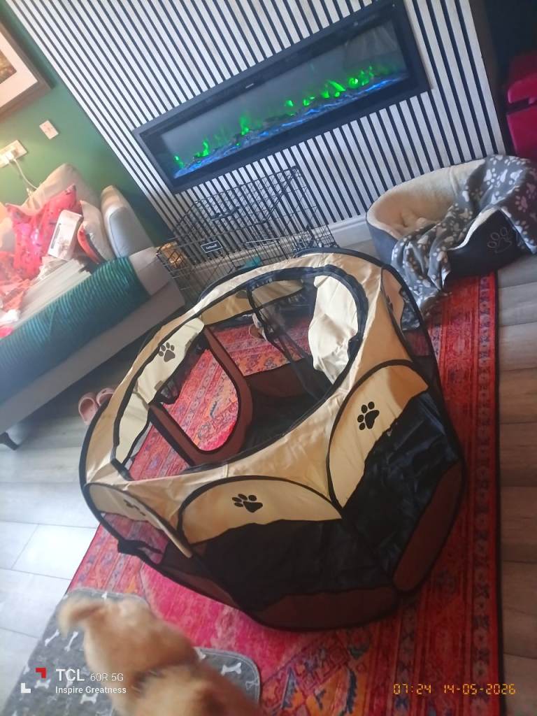 Puppy accessories 