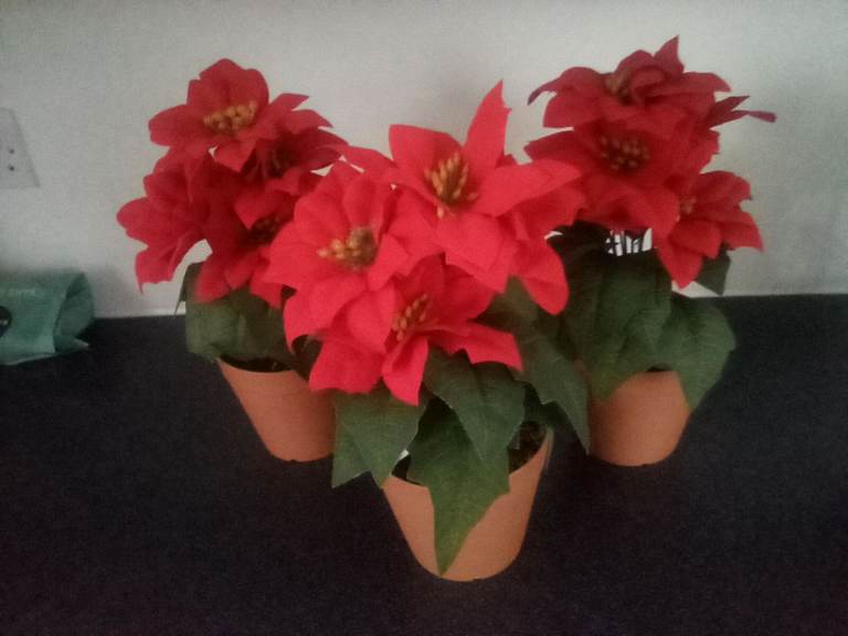 image for Brand new artificial Poinsettia plants, really gives festive feeling quickly and easily