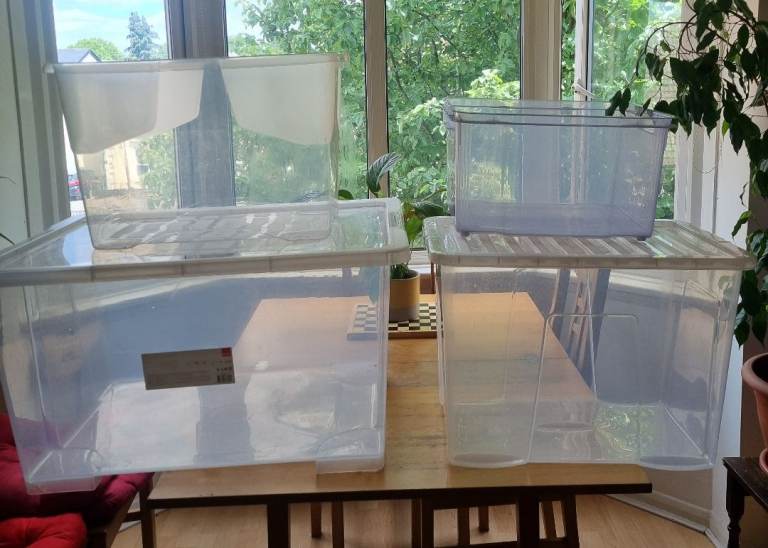 Storage Boxes
