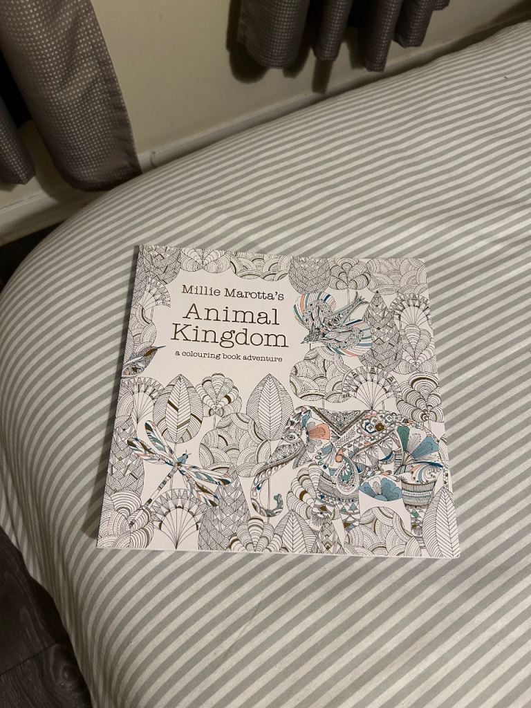 image for Animal Kingdom colouring book