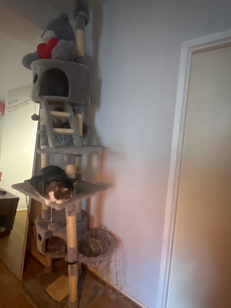 Cat tower