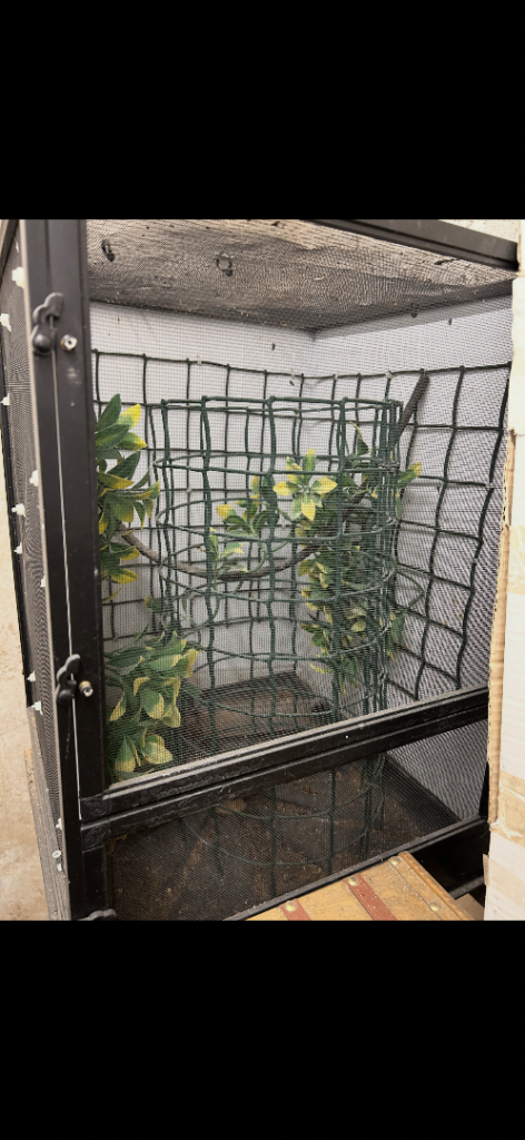 Reptile cage