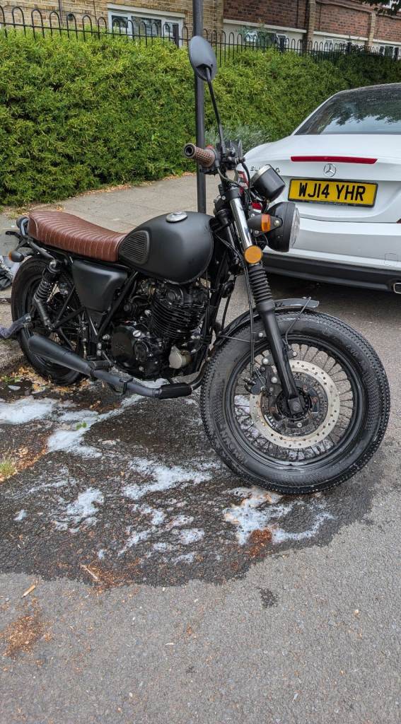 Mutt, MONGREL, 2018, 249 (cc)