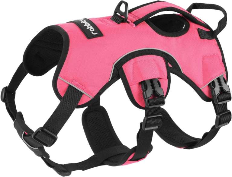 Rabbitgoo Escape Proof Pet Dog Harness with Lift Handle Adjustable Vest Pink XL
