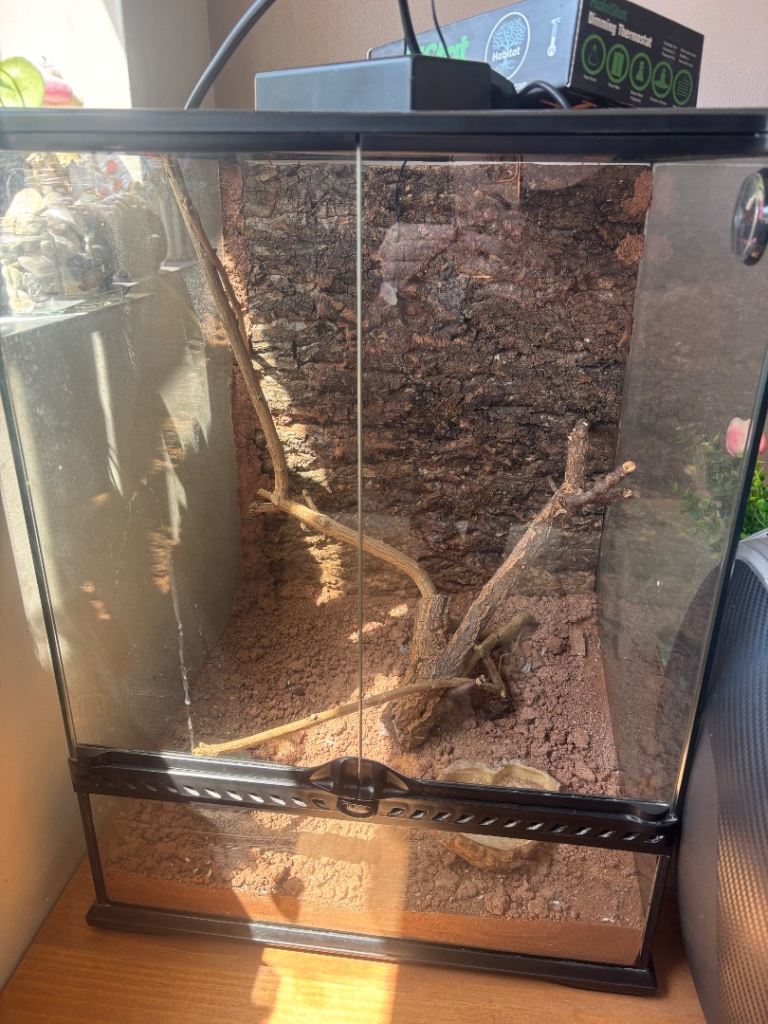 Reptile tank 