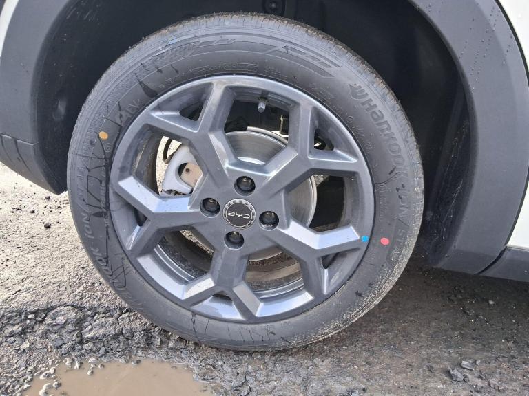 2025 BYD Dolphin 65kW Boost 43kWh 5dr Auto HATCHBACK ELECTRIC Automatic