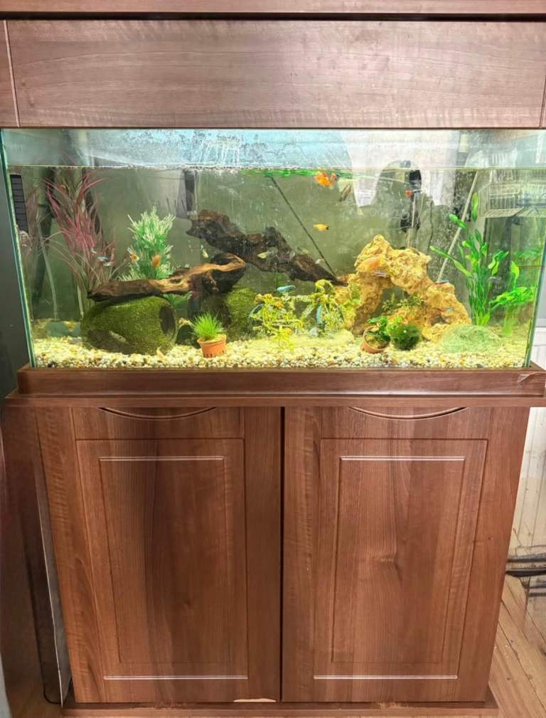 Large Aquarium with Cabinet and External Filter