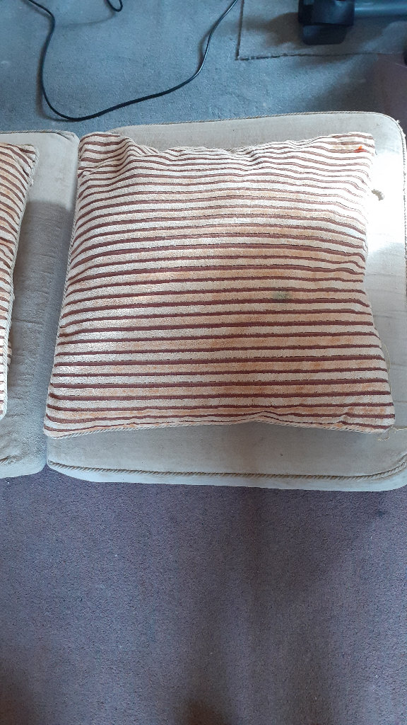 4 very large cushions with removable covers for £8 ono