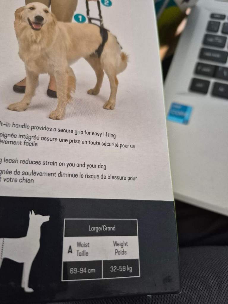 Dog Harness