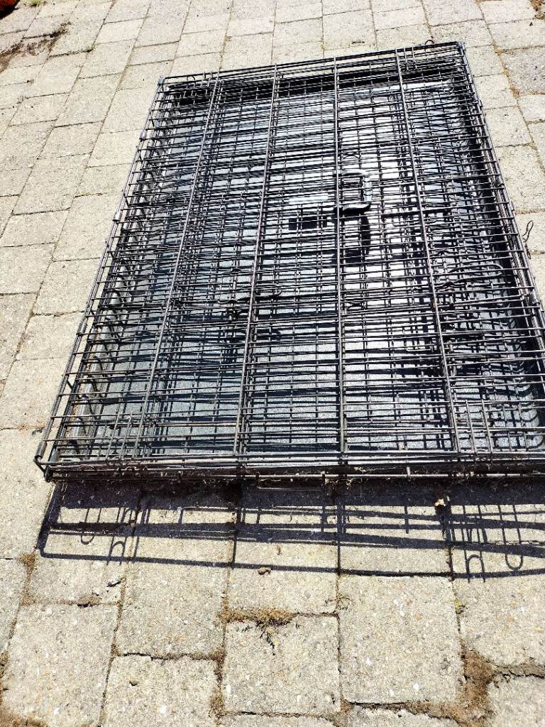 Large dog crate