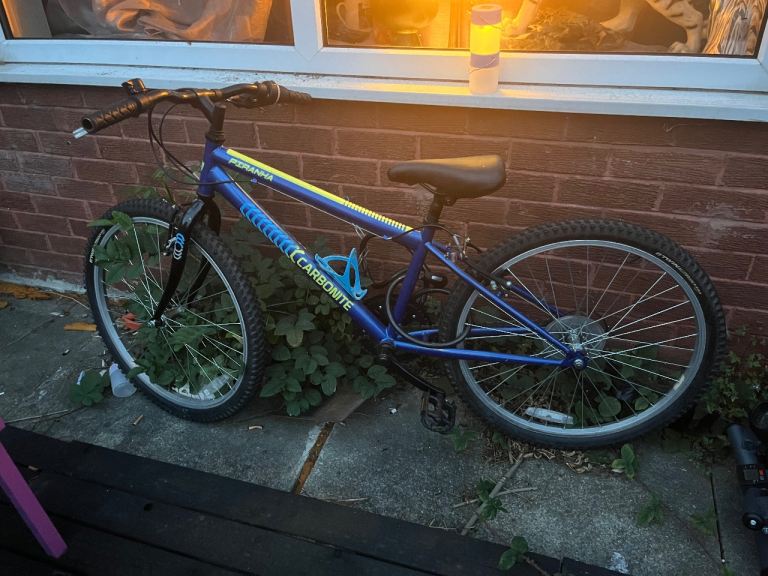 Barracuda Carbonite Kids Mountain Bike - Blue, Fair Condition