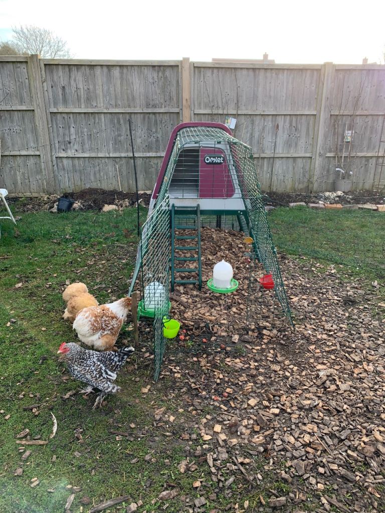 Omlet chicken fencing 12 metres - great condition 