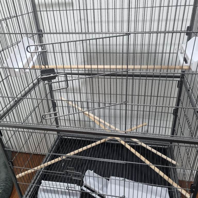 Large bird cage