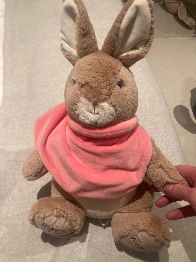 M&S Peter Rabbit soft animal