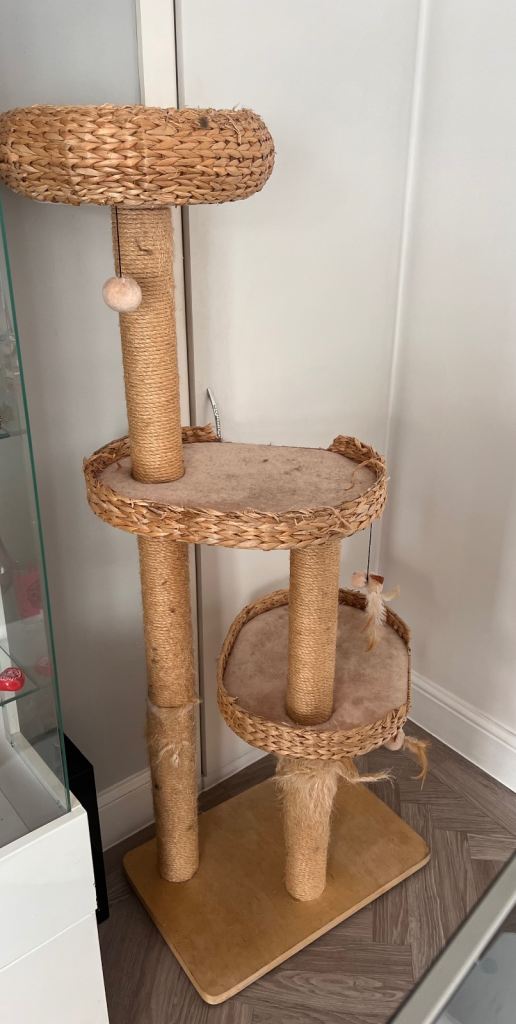 Cat tree 