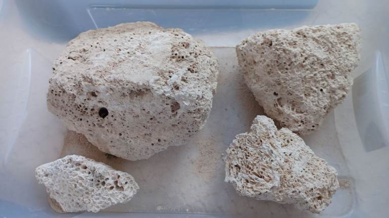 image for Tropical tank rocks