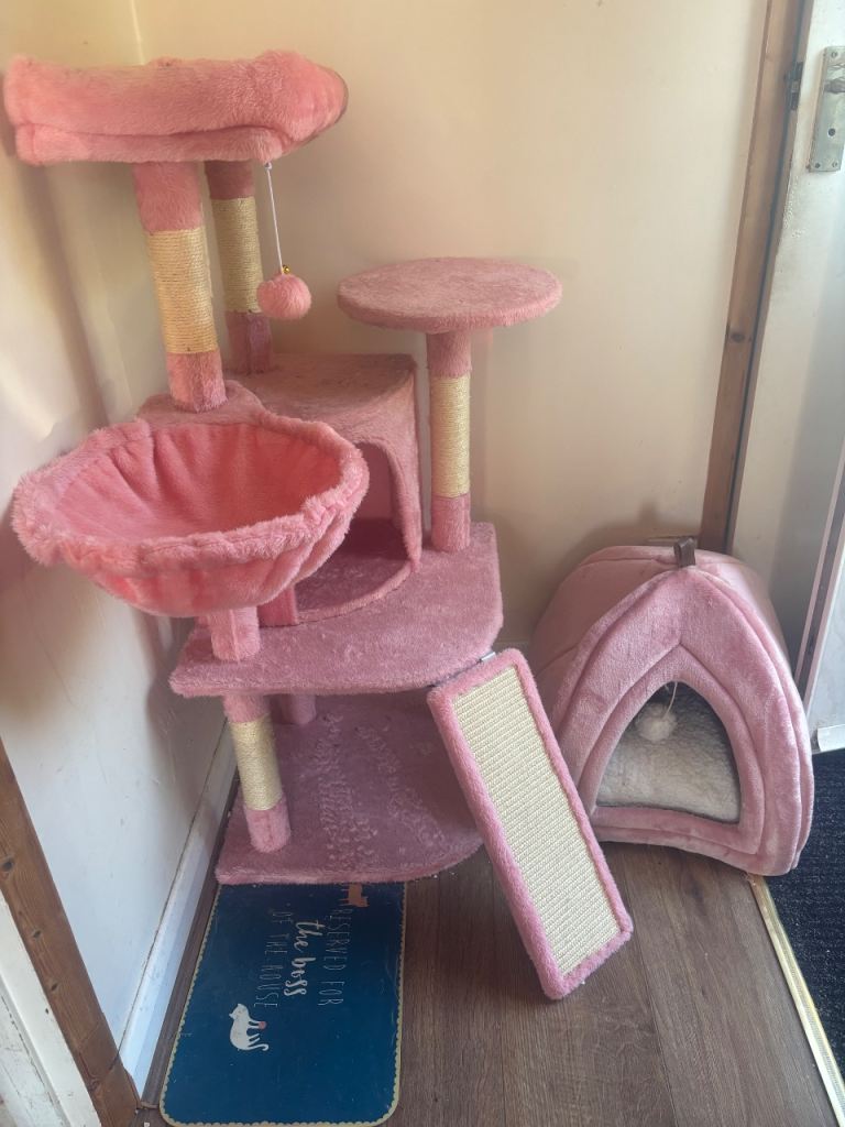 Cat tower and bed 