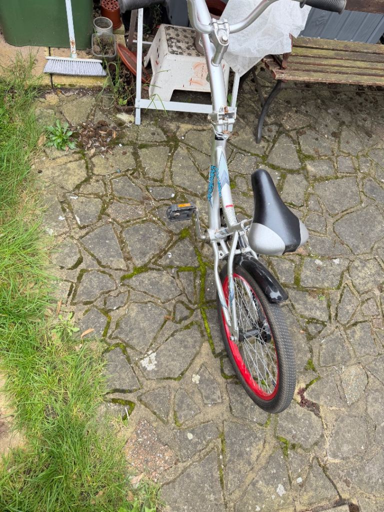 Tag along bike 