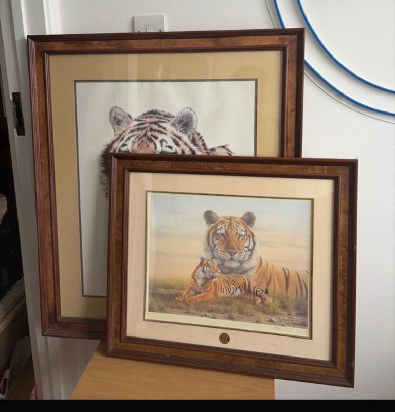 Franklin Mint Bengal Tiger Art Bundle – Framed Prints w/ COA