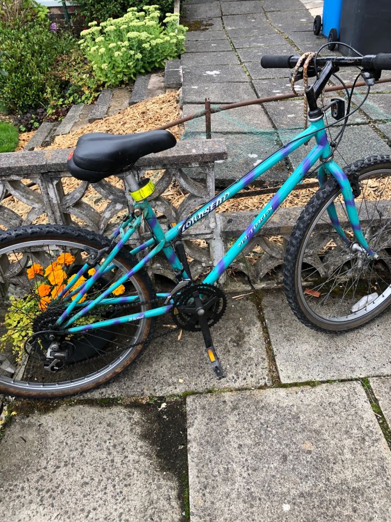 LADY’S /GIRL’S MOUNTAIN BIKE