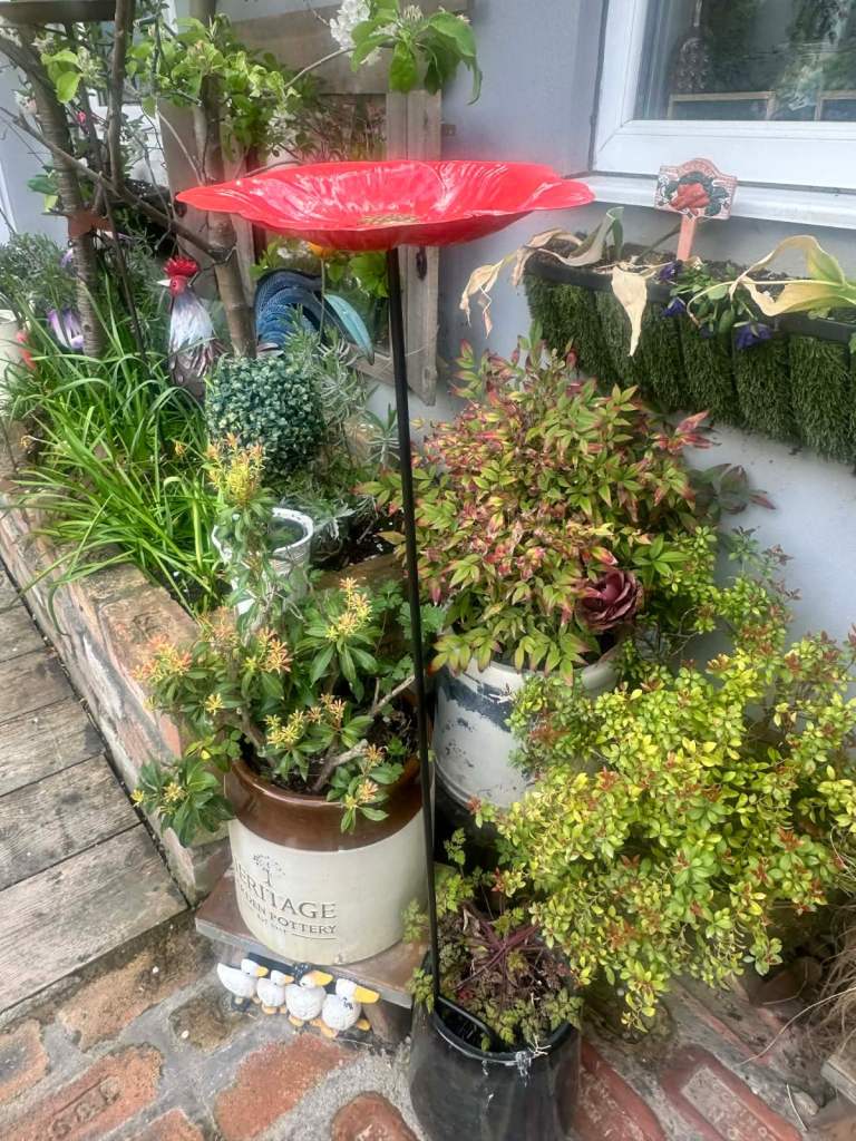 🌺🐦‍⬛ Metal poppy bird feeder bath garden stake £12 each