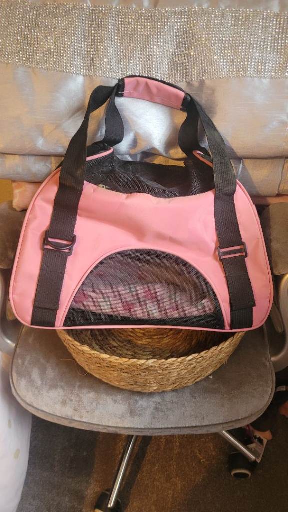 Cat travel bag