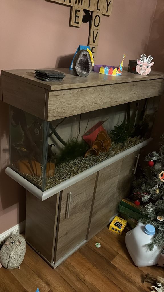 4ft x 1ft fish tank