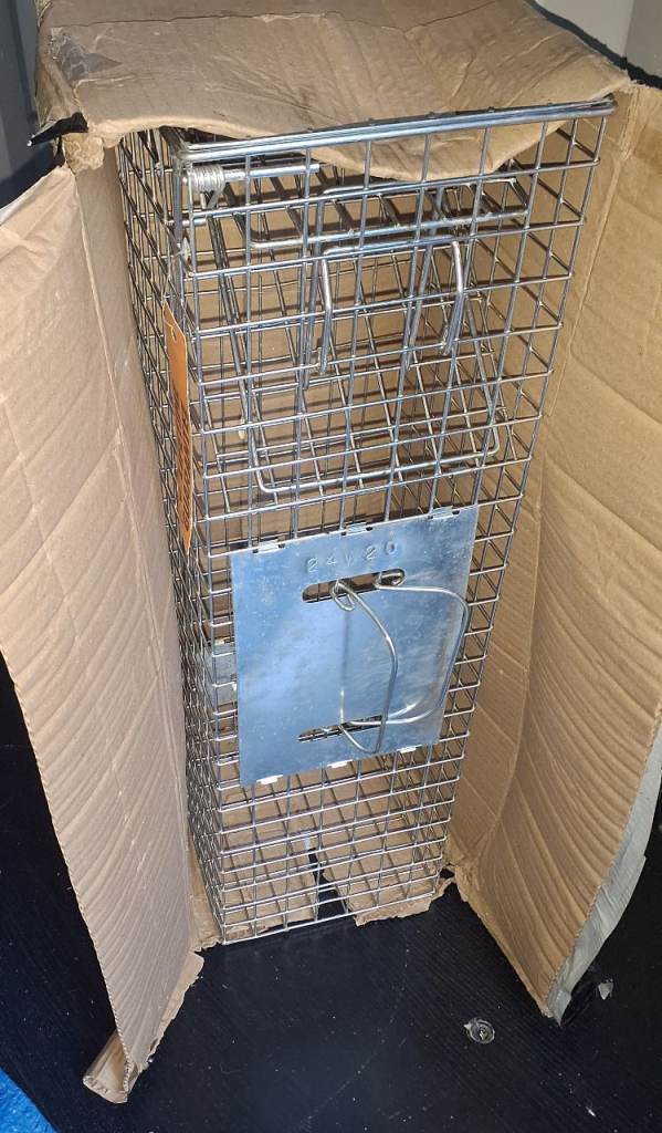 Pet wildlife carrier 