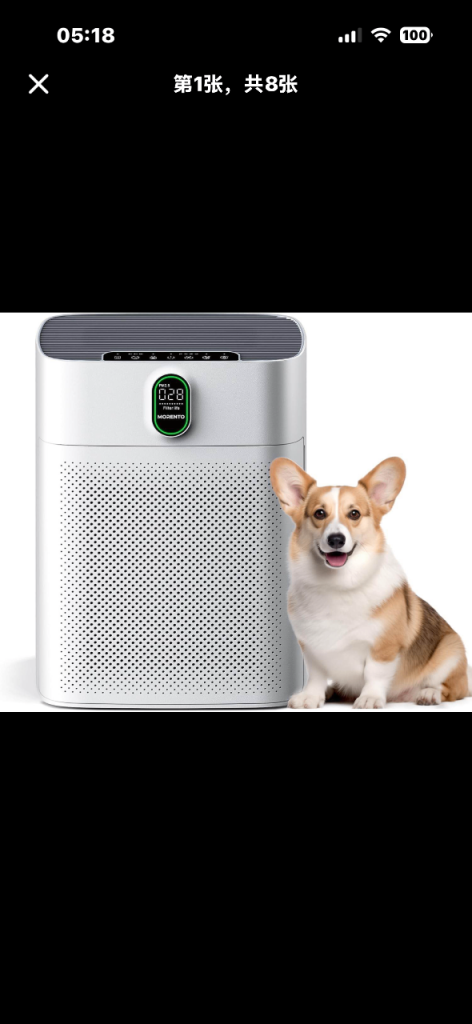 New Air Purifier for Large Rooms – White, Quiet Operation