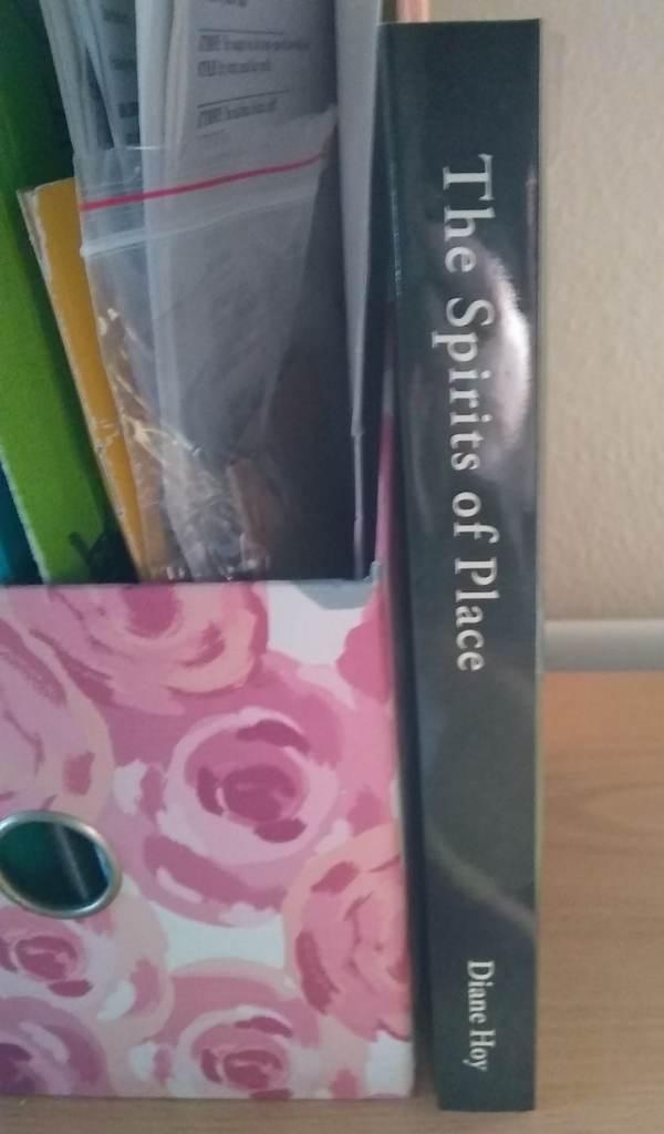 The Spirits of Place by Diane Hoy