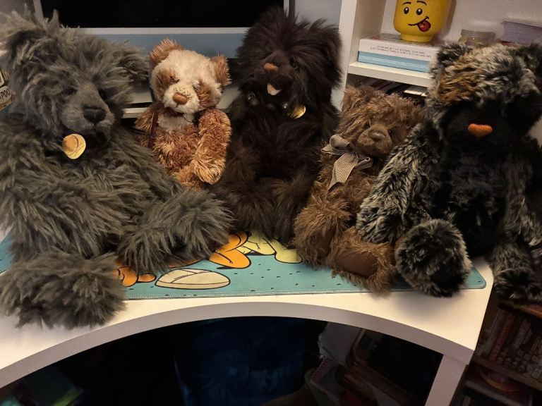 Set of 5 used Charlie Bears different sizes 